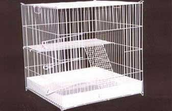 Pet Shop Santa Rosa - Foto 1