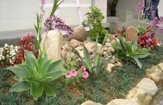 Arte & Jardim - Foto 1