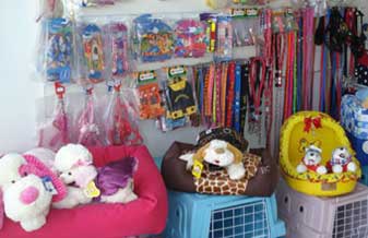 Pet Life Acapulco - Foto 1