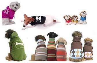 Pet Shop Paraíso dos Bichos - Foto 1