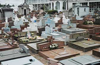 Cemitério Jardim da Paz - Foto 1