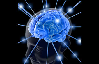 André Almeida Pires - Foto 1