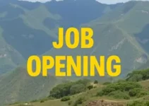 oportunidades de emprego