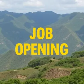 oportunidades de emprego