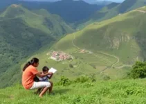 Programas de Estágio