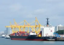Governo de SP e Autoridade Portuária de Santos