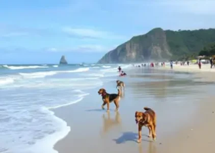 Últimas noticias de Guarujá