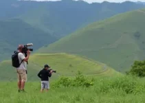 oficina de documentários em Guarujá