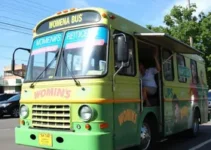 ônibus itinerante