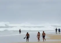 vendaval