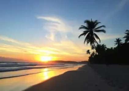 Últimas noticias de Guarujá