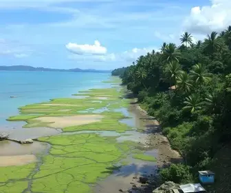 taxa ambiental de Guarujá